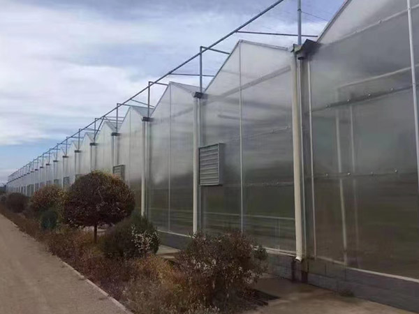 洛陽(yáng)陽(yáng)光板大棚造價(jià)