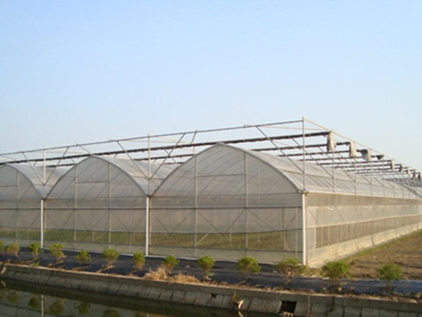 蕪湖連棟薄膜大棚